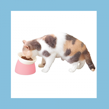 Petz Route Elevated Plastic Bowl White and Pink